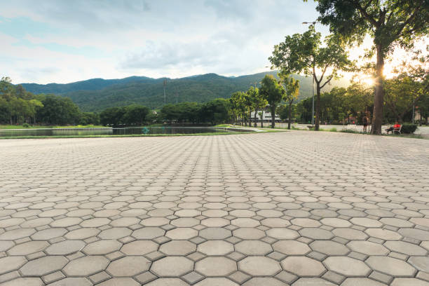 Best Residential Paver Driveway  in Madison, SD