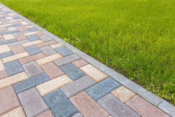 Best Driveway Pavers Near Me  in Madison, SD